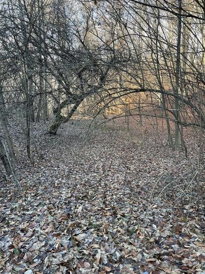 Teren de 15000 mp, în Valea