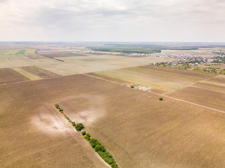 Teren Construcții intravilan de 11332 mp, în Dascălu