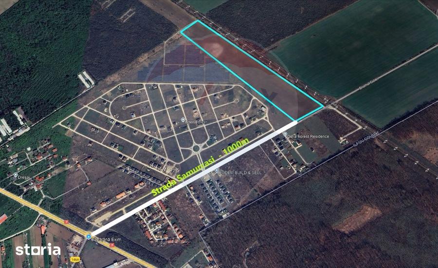 Teren de 99000 mp, în Tărtășești