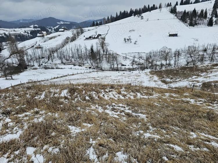 Teren 12.066 mp intravilan de vanzare in Bucovina Comuna Breaza Zona Breaza De sus - 10