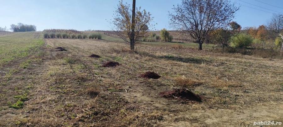 Teren de 3200 mp, în Schineni (Sascut)