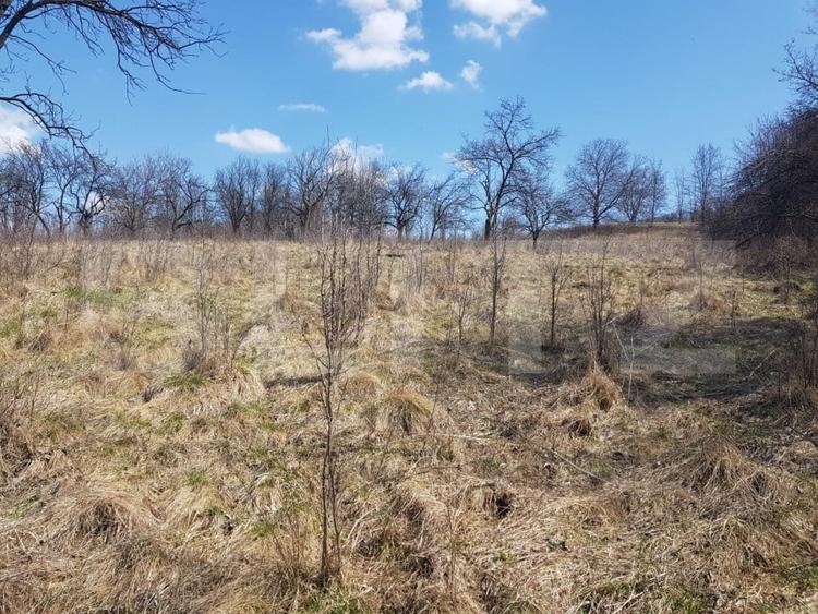 Teren Construcții intravilan de 13800 mp, în Suceagu