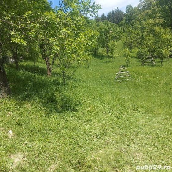 Teren de 7200 mp, în Secăria