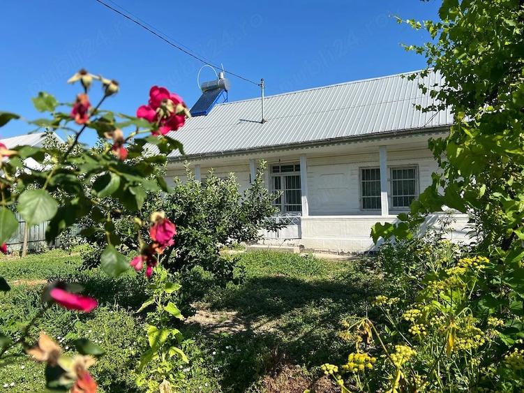 Casă cu Teren 1200 Mp în Central
