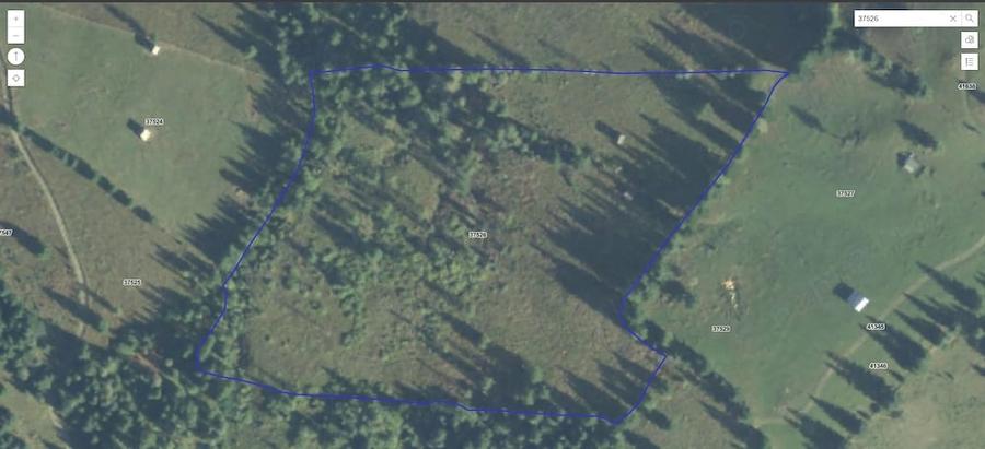 Teren de 37947 mp, în Pojorâta