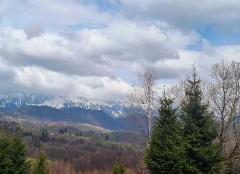 Teren de 1000 mp, în Drumul Carului