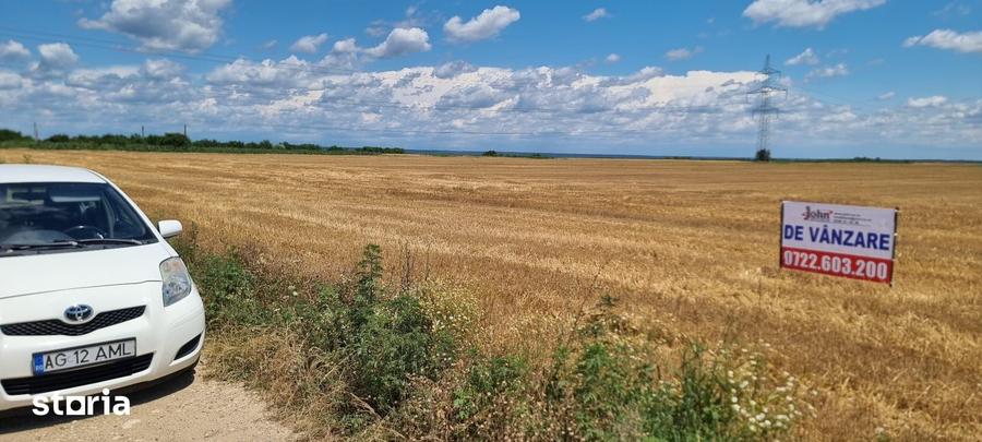 Teren de 260000 mp, în Căteasca