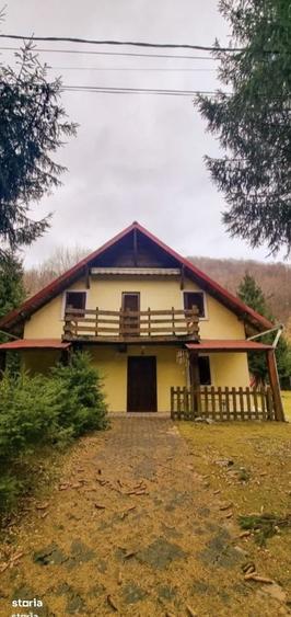 Casă cu 4 camere cu Teren 1600 Mp în Bulz