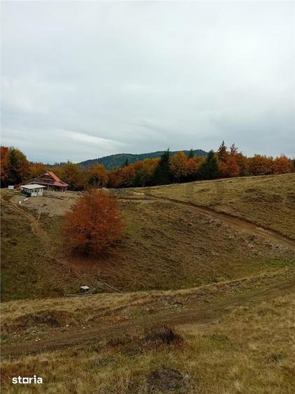 Teren de 2000 mp, în Curățele