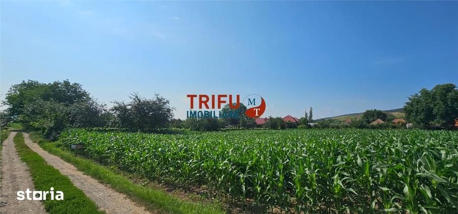 Teren de 928 mp, în Șard