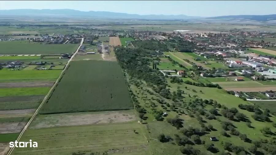 Teren intravilan de vanzare, 500 mp, Bod - 4