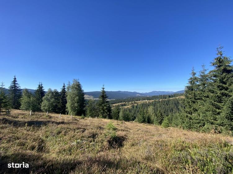Teren intravilan 4.930 mp | Dealu Botii | Panorama superba - 1