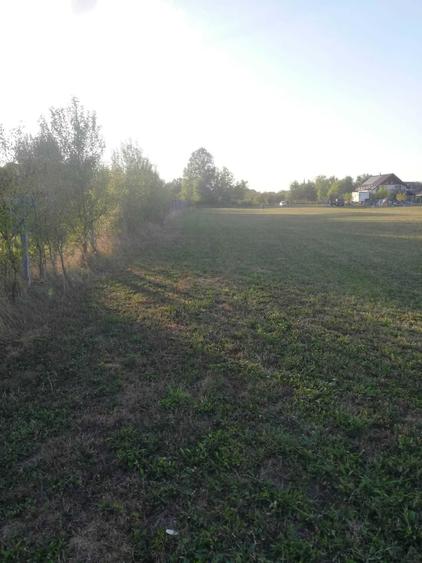 Teren de 2023 mp, în Săcălășeni