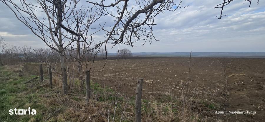 Teren de 13000 mp, în Mihai Eminescu