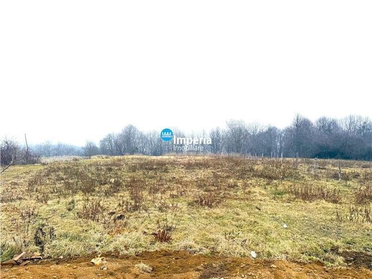 Teren Construcții intravilan de 900 mp, în Bucium