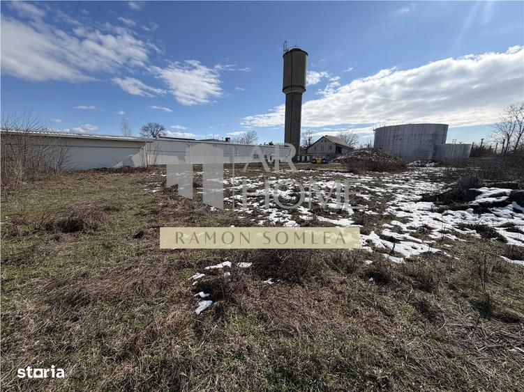 Vanzare Hala si teren industrial in Paulestii noi , Prahova - 18