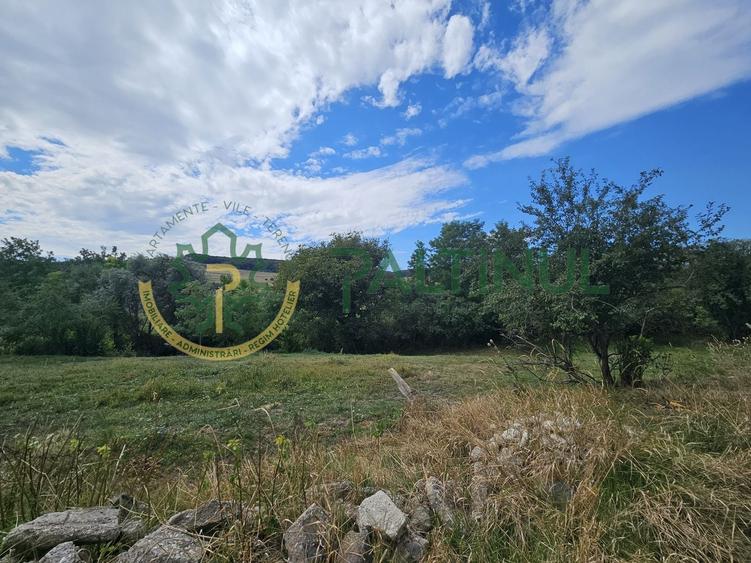 Teren agricol intravilan de 2617 mp, în Loamneș
