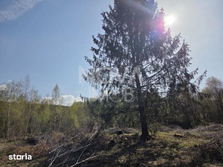 Teren de 4900 mp, în Viștea