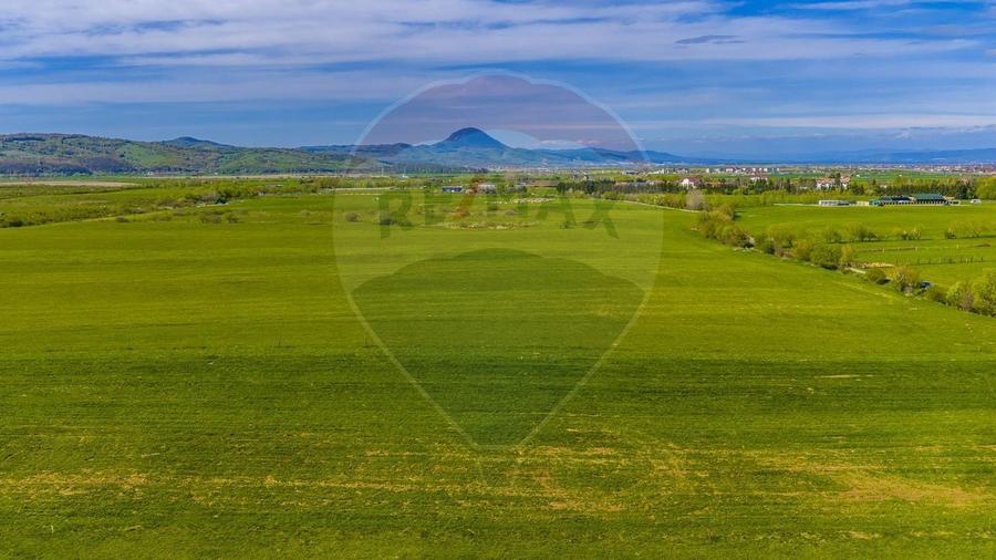 Teren agricol extravilan de 3000 mp, în Pănicel