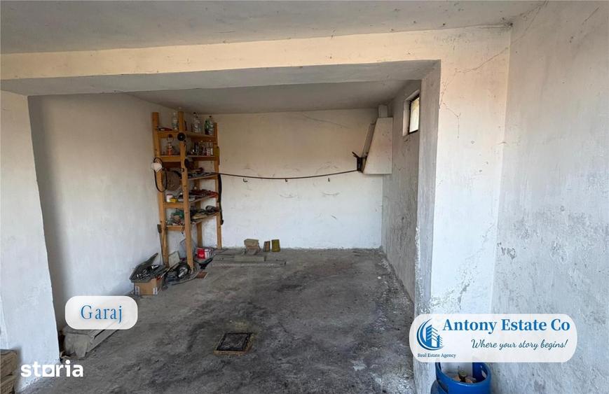 Antony Estate | Casa cu Livada proprietate deosebita, 300 pomi fruct - 8
