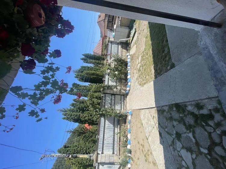 Casă cu 5 camere în Central