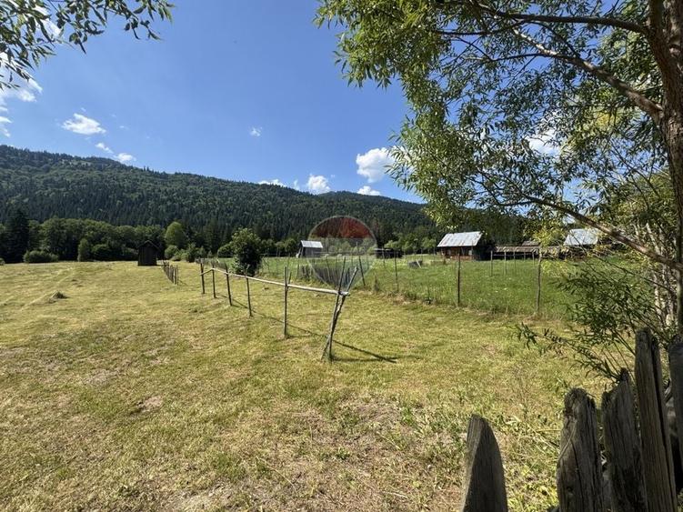 Teren Construcții intravilan de 2802 mp, în Borca