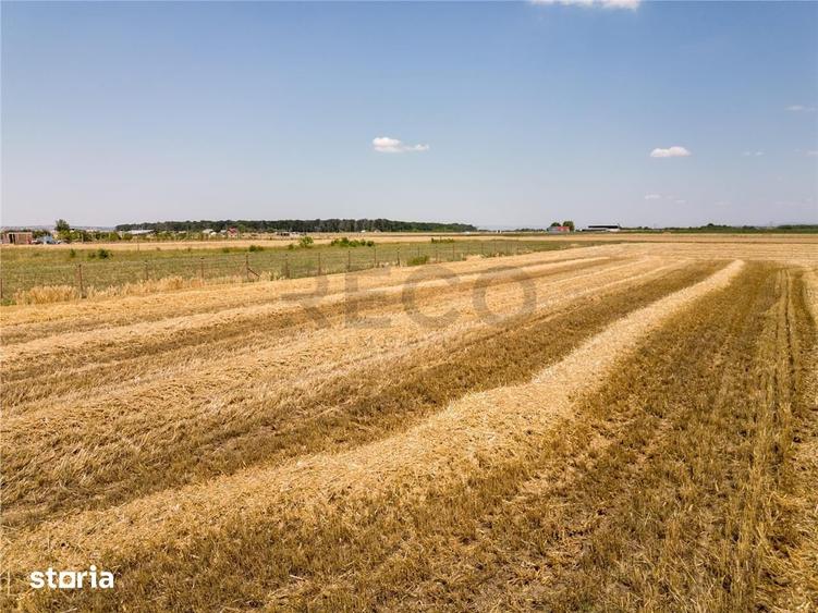 RECO Teren industrial in Nojorid la doar 6km de Oradea - 4