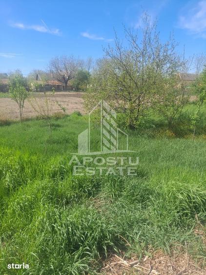 Casă cu 2 camere cu Teren 5075 Mp în Foeni