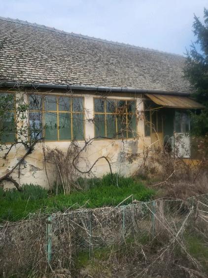 Casă cu Teren 3000 Mp în Checea