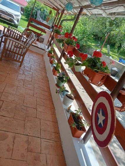 Casă individuală cu 5 camere cu Canalizare în Dragodana
