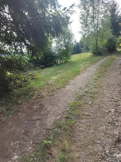 Teren de 5000 mp, în Vadu Moților