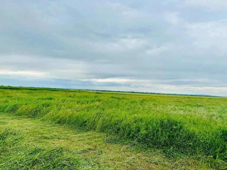 Teren de 11300 mp, în Balta Doamnei