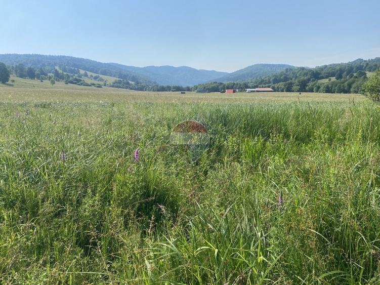 Teren agricol extravilan de 4306 mp, în Vama Buzăului