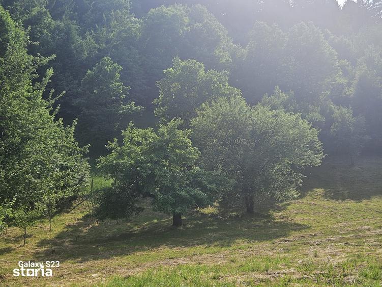 Teren de 1000 mp, în Alexandru cel Bun