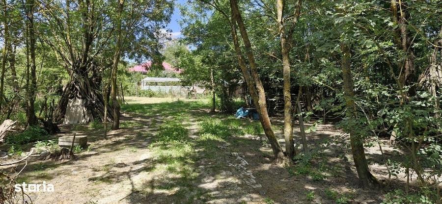 Casă cu 4 camere în Naipu