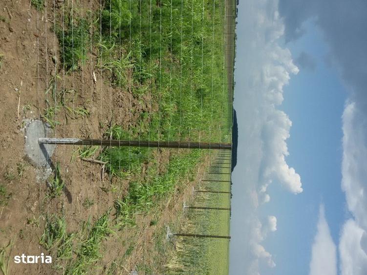 Teren de 1070 mp, în Corbeanca