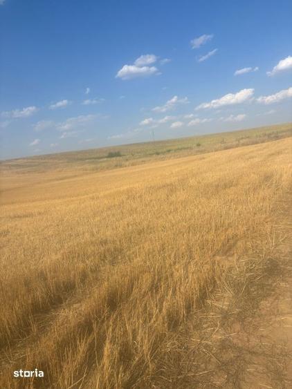 Teren de 500 mp, în Malu Mare