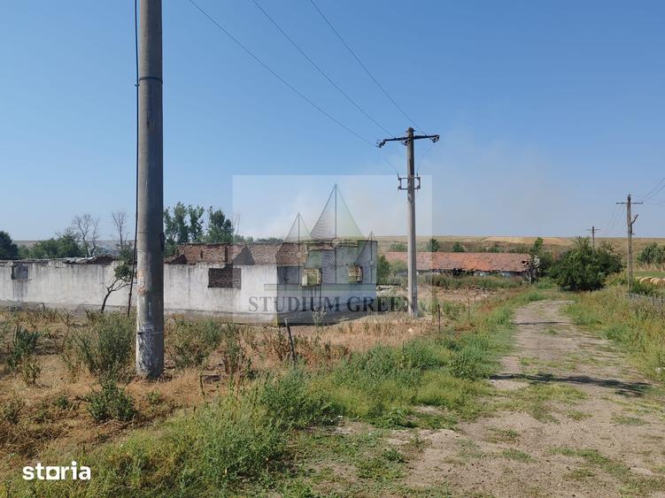 Teren de 9795 mp, în Rădoiești