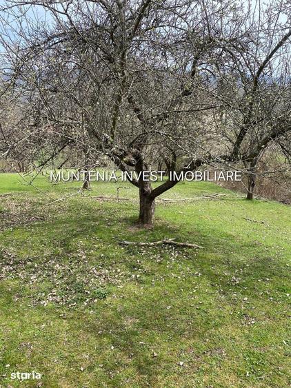 Teren de 2765 mp, în Albota
