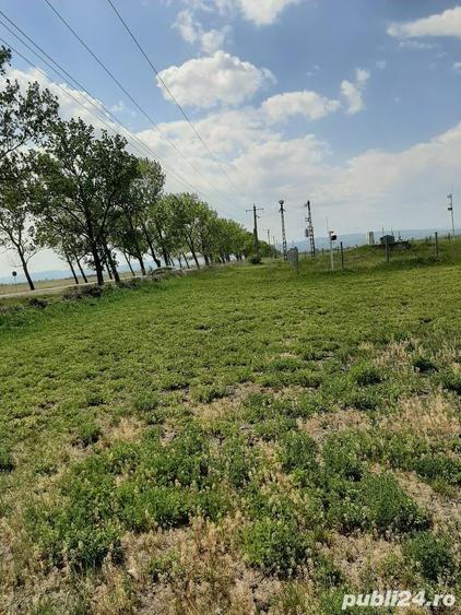 Teren de 5000 mp, în Central