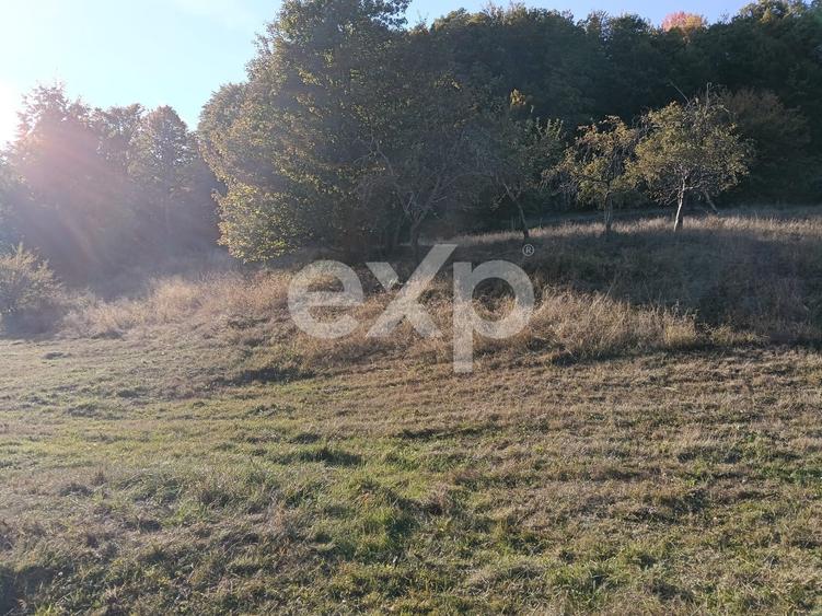 Teren Construcții extravilan de 3700 mp, în Vulturești