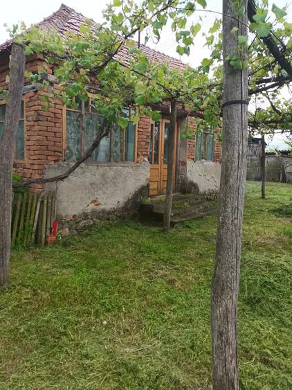 Casă cu 3 camere cu Teren 6000 Mp în Bretea Mureșană