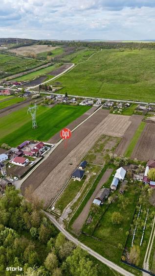 Teren de 6200 mp, în Forăști