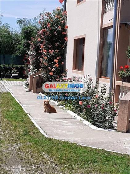 Casă cu 5 camere cu Teren 3190 Mp în Răcari