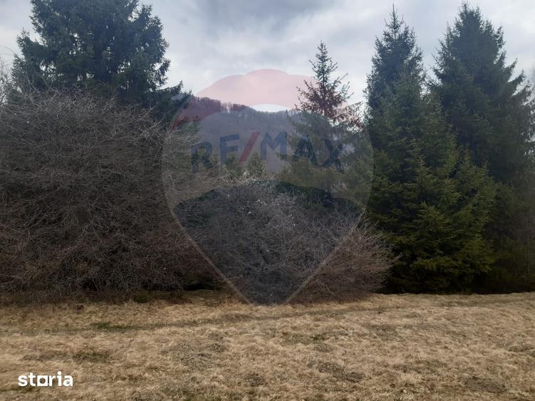 Teren de 14250 mp, în Central