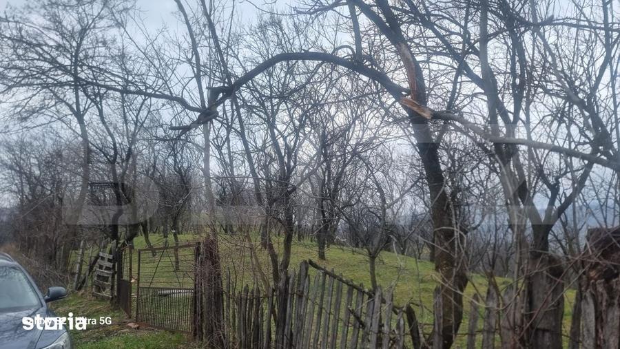 Teren de 3781 mp, în Izvoarele
