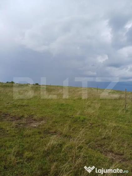 Teren de 1249 mp, în Copăceni
