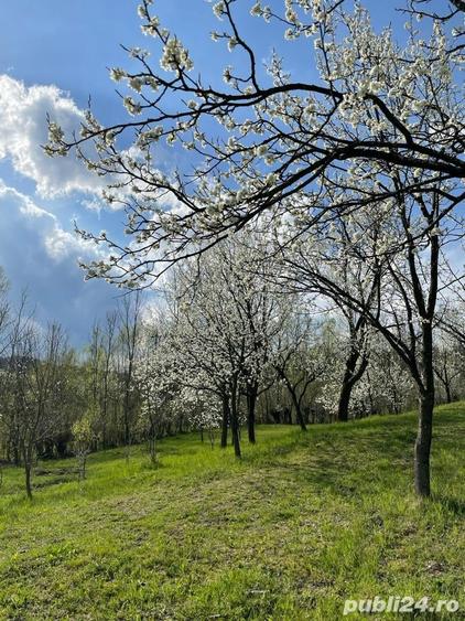 Teren de 9104 mp, în Brebu