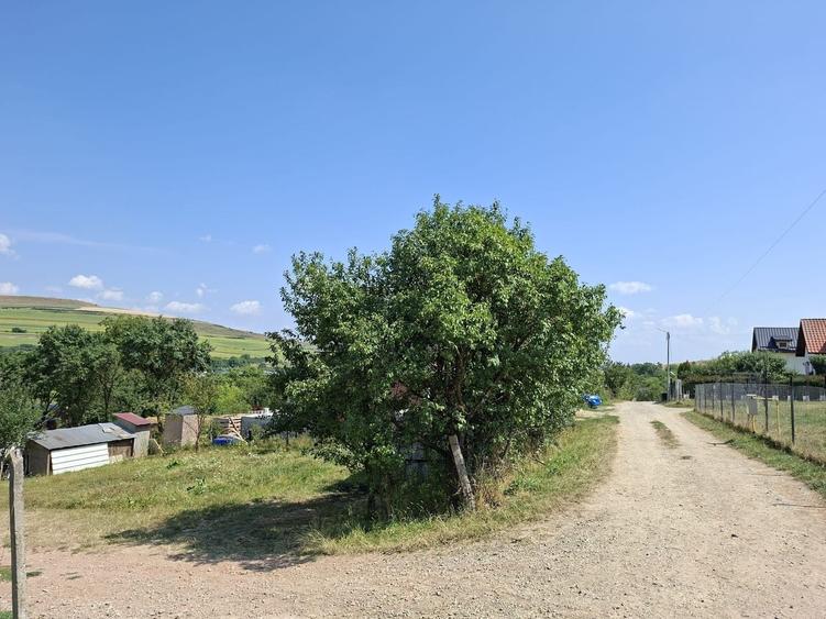 Teren Construcții intravilan de 800 mp, în Vâlcele