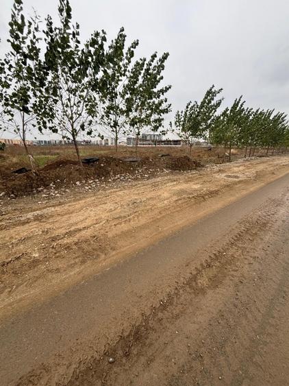 Teren Construcții intravilan de 6000 mp, în Theodor Pallady